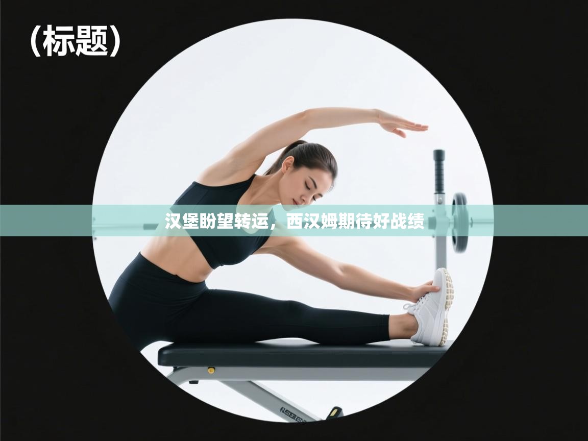 汉堡盼望转运，西汉姆期待好战绩  第1张