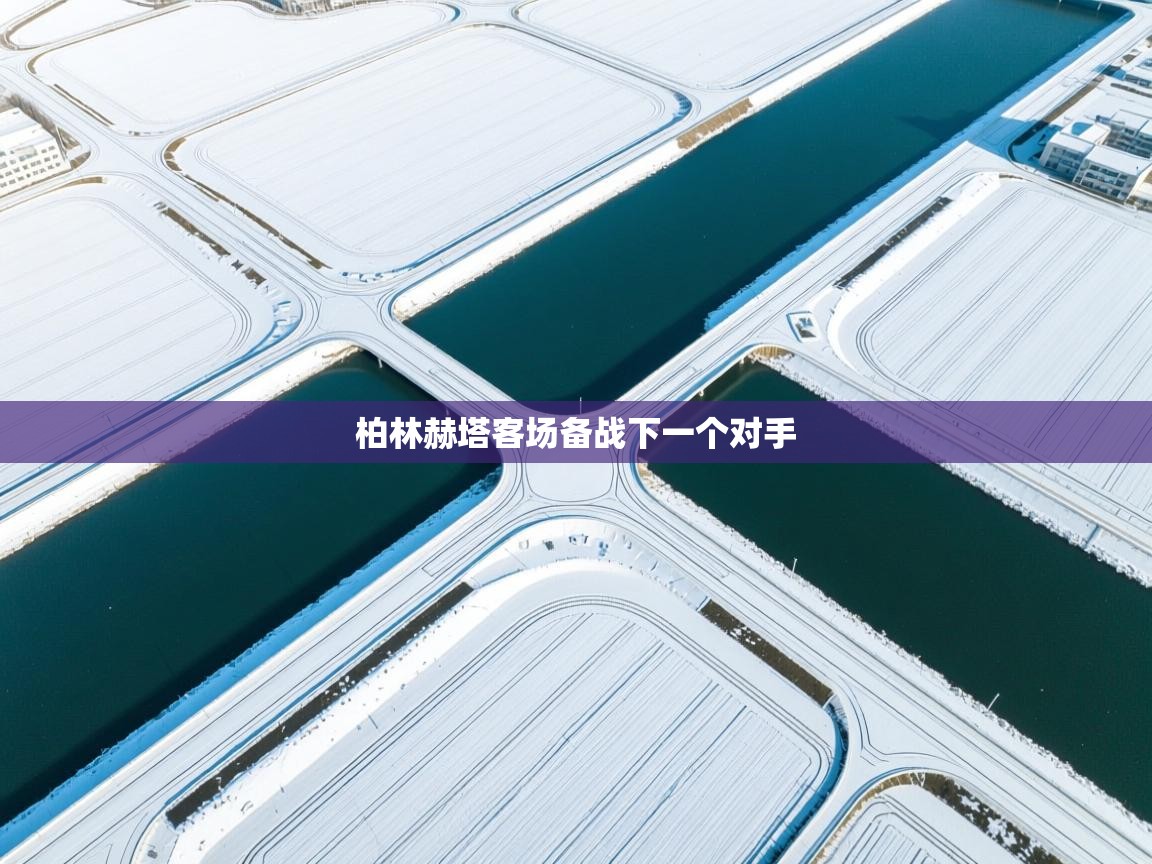 柏林赫塔客场备战下一个对手  第2张