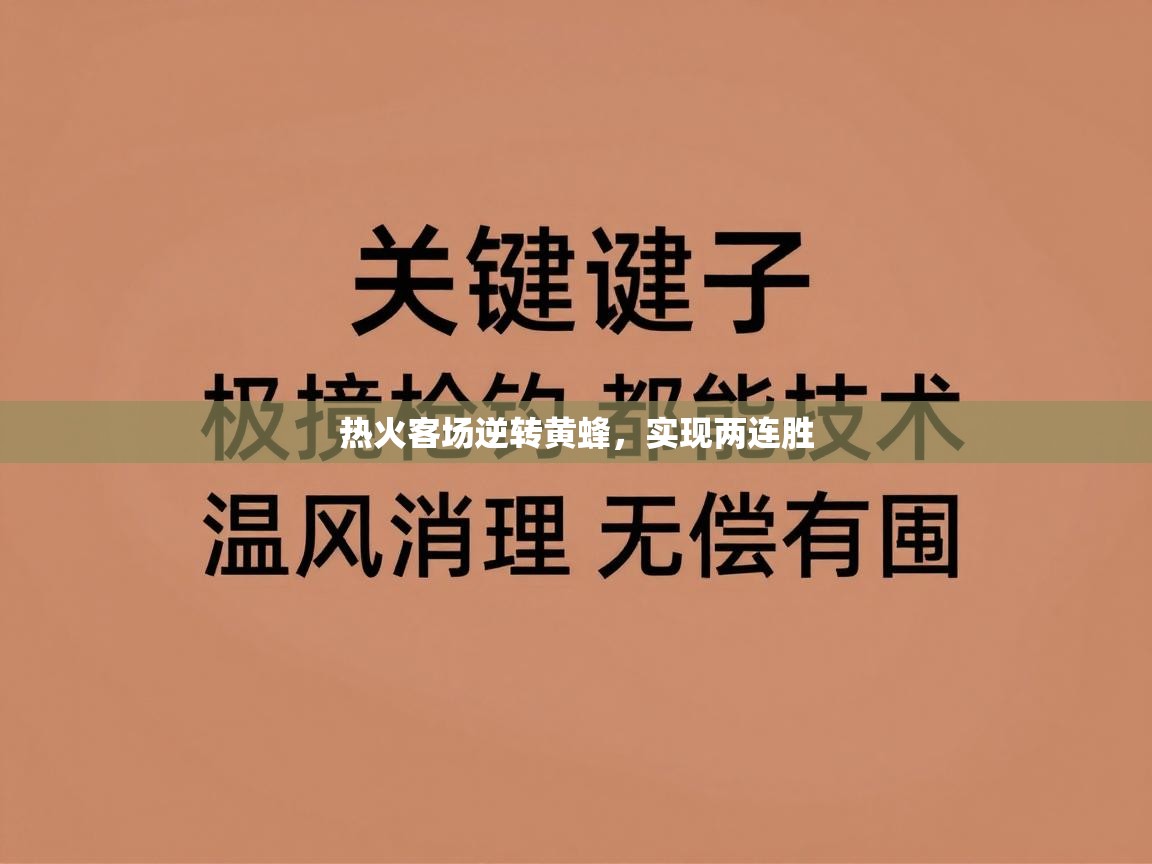 热火客场逆转黄蜂，实现两连胜  第1张