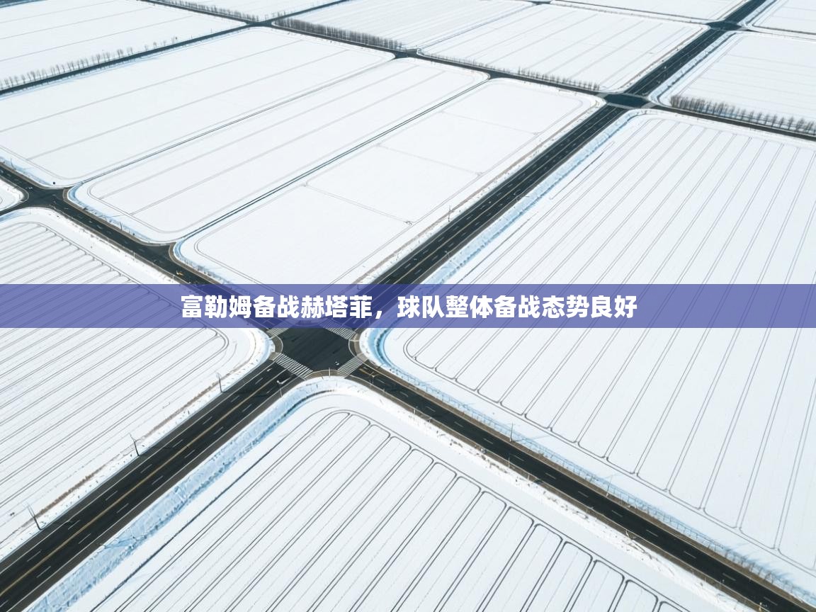 富勒姆备战赫塔菲，球队整体备战态势良好  第2张