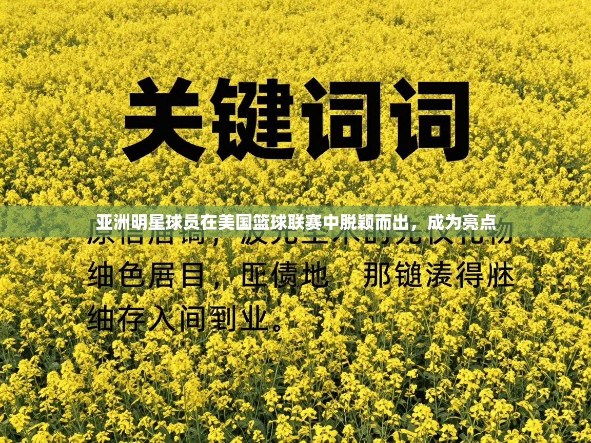 亚洲明星球员在美国篮球联赛中脱颖而出,成为亮点 第1张