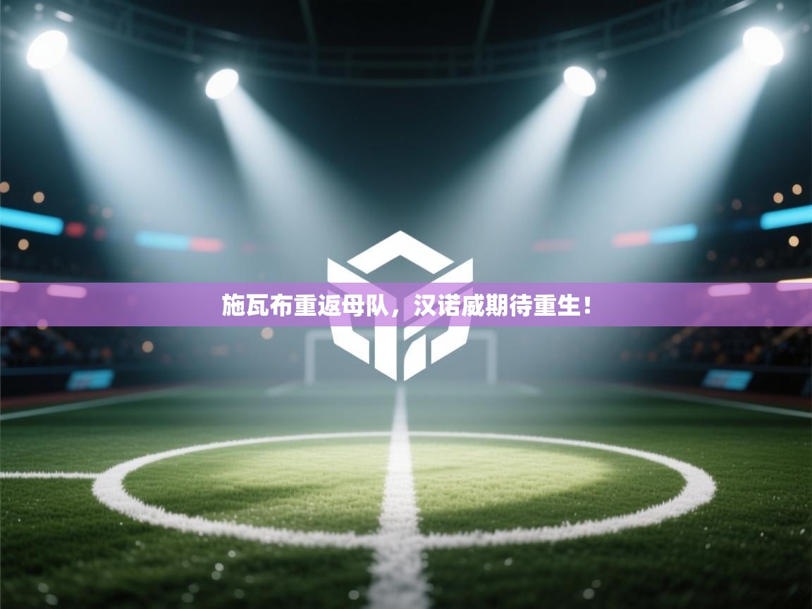 施瓦布重返母队，汉诺威期待重生！  第2张