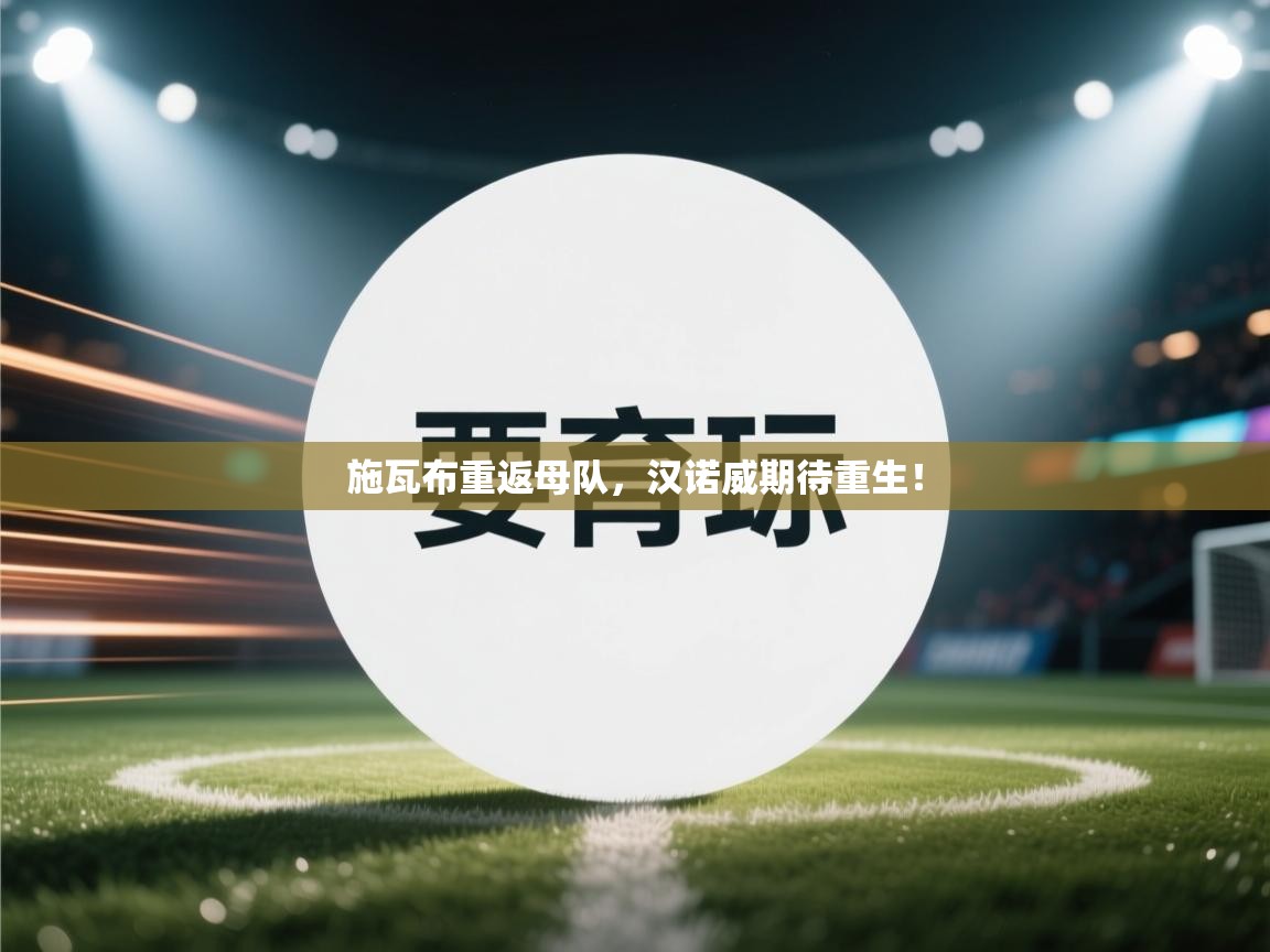 施瓦布重返母队，汉诺威期待重生！  第1张