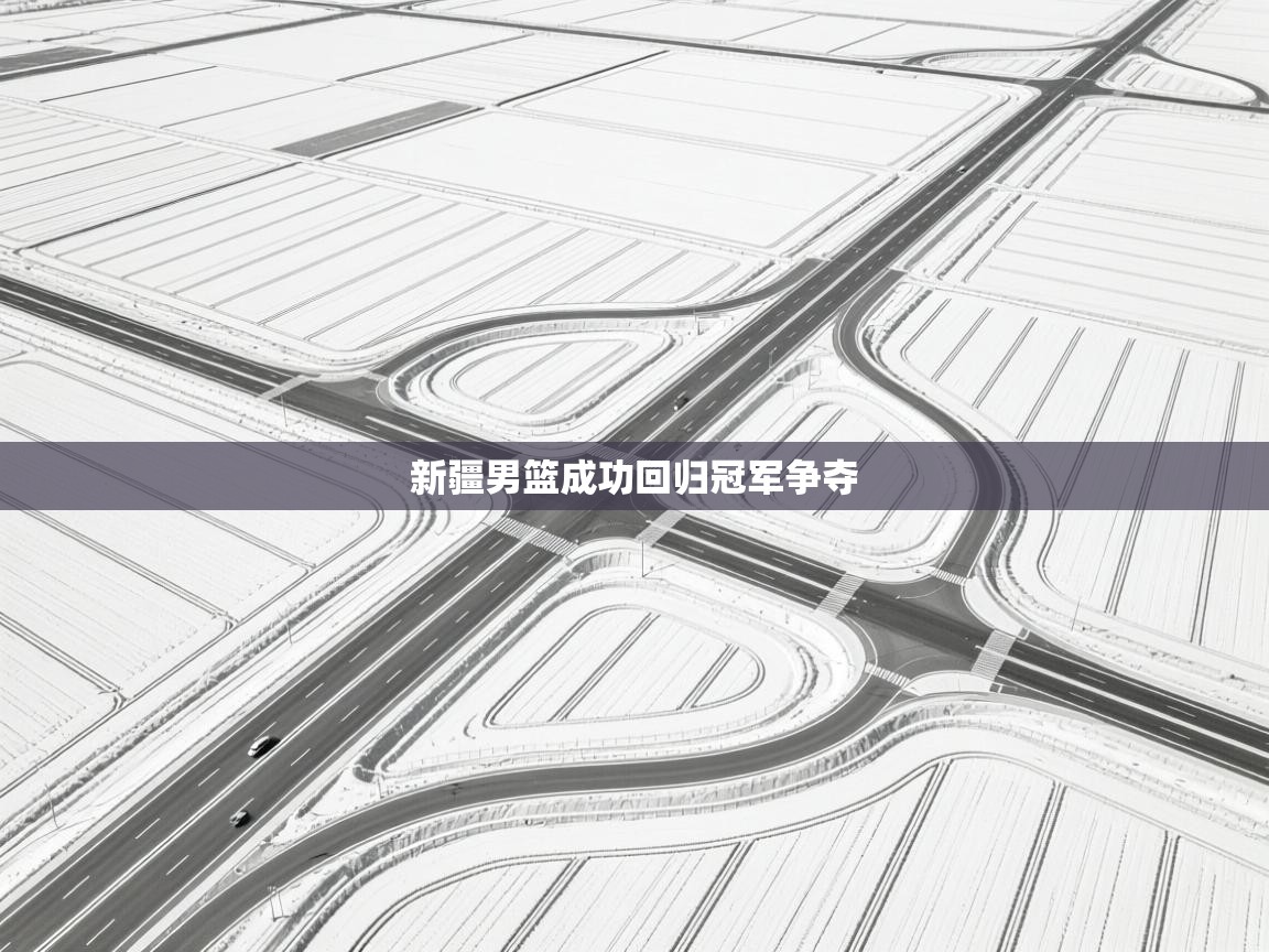 新疆男篮成功回归冠军争夺  第1张