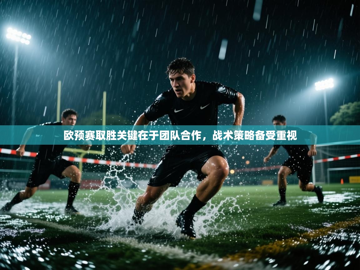 欧预赛取胜关键在于团队合作,战术策略备受重视 第1张